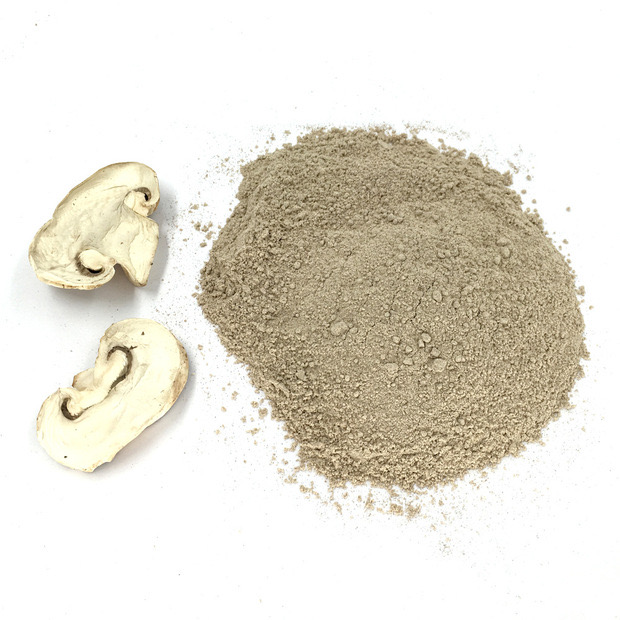 蘑菇粉Dried champignon mushroom powder.jpg